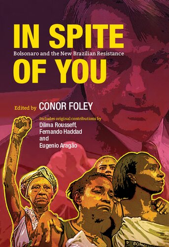 In Spite of You :  Bolsonaro and the New Brazilian Resistance