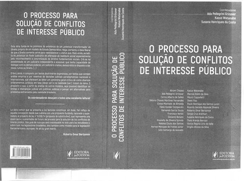 O processo para solução de conflitos de interesse público