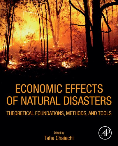 Economic Effects of Natural Disasters: Theoretical Foundations, Methods, and Tools