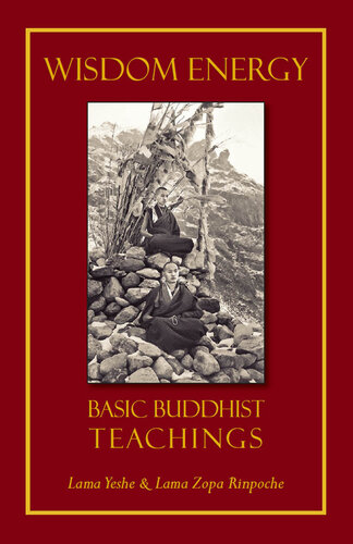 Wisdom Energy: Basic Buddhist Teachings