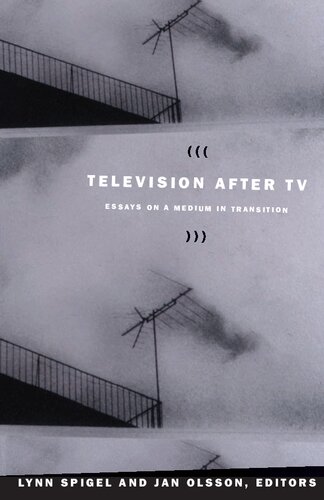 Television after TV: Essays on a Medium in Transition