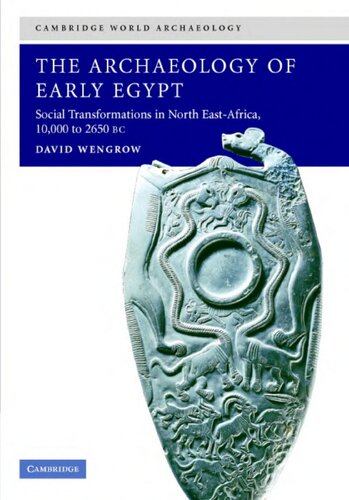 The Archaeology of Early Egypt: Social Transformations in North-East Africa, 10,000 to 2,650 BC: Social Transformations in North-East Africa, C. 10,000 to 2,650 BC (Cambridge World Archaeology)