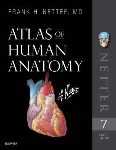 Atlas of Human Anatomy, 7e (Netter Basic Science)