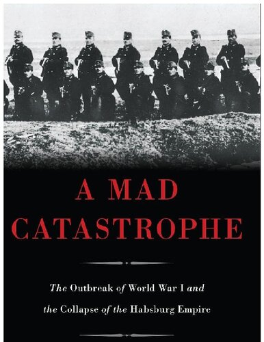 A Mad Catastrophe: The Outbreak of World War I and the Collapse of the Habsburg Empire