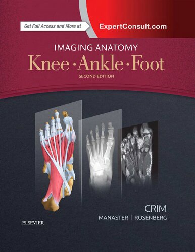 Imaging Anatomy. Knee. Ankle. Foot