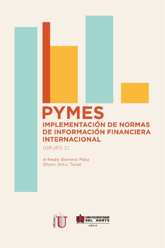 PYMES IMPLEMENTACION DE NORMAS DE INFORMACION FINANCIERA INTERNACIONAL