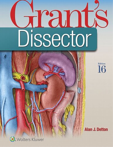 Grant's dissector