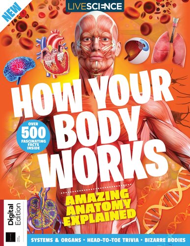 How Your Body Works