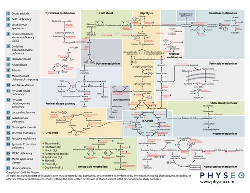 Physeo Biochemistry Map