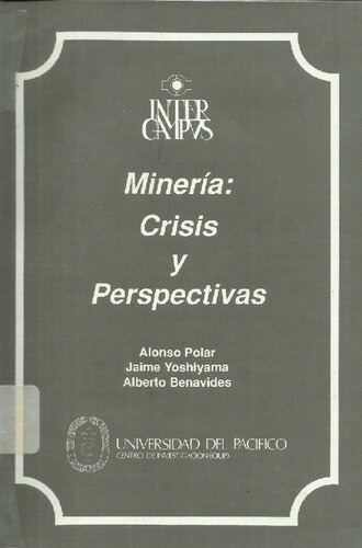 Minería: Crisis y permanencia