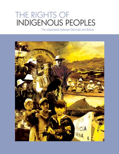 The rights of indigenous peoples : the cooperation between Denmark and Bolivia (2005-2009)