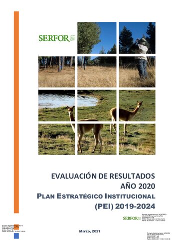 Plan Estratégico Institucional (PEI) 2019-2024. Evaluación de resultados año 2020