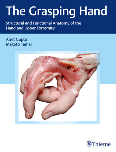 The Grasping Hand: Structural and Functional Anatomy of the Hand and Upper Extremity