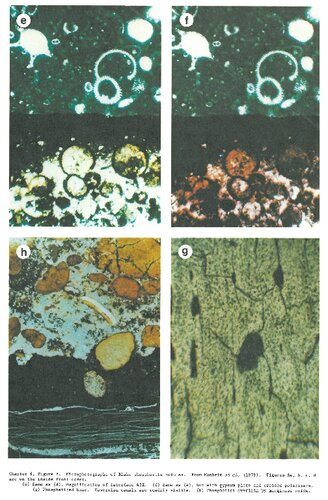 Marine Minerals