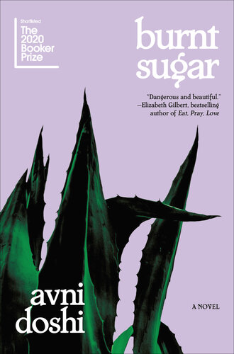 Burnt Sugar: A Novel