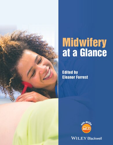 Midwifery at a Glance (At a Glance (Nursing and Healthcare))