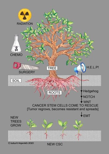 Surviving Cancer, Covid-19, and Disease: The Repurposed Drug Revolution