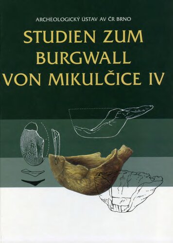 Studien zum Burgwall von Mikulčice. Bd. 4