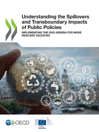 UNDERSTANDING THE SPILLOVERS AND TRANSBOUNDARY IMPACTS OF PUBLIC POLICIES.