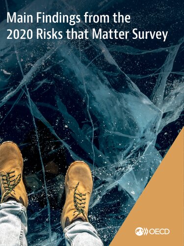 MAIN FINDINGS FROM THE 2020 RISKS THAT MATTER SURVEY.