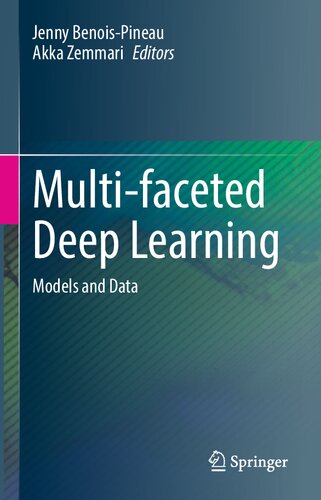 Multi-faceted Deep Learning: Models and Data