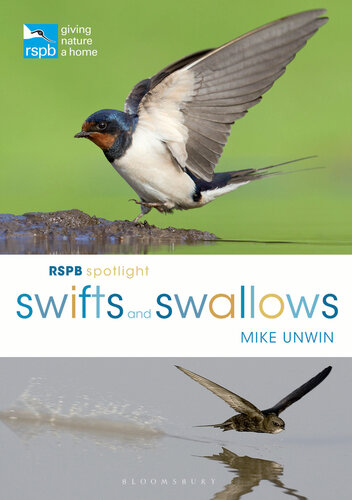 Swifts and swallows