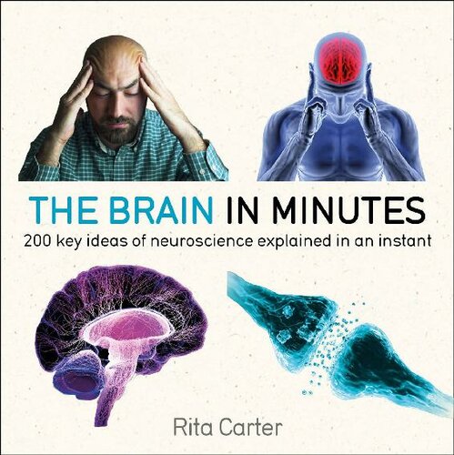 The brain in minutes