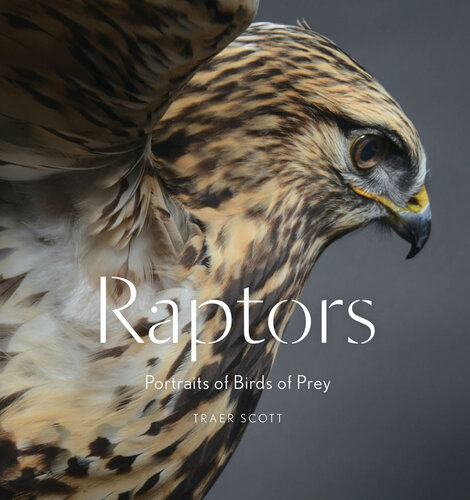 Raptors: Birds of Prey