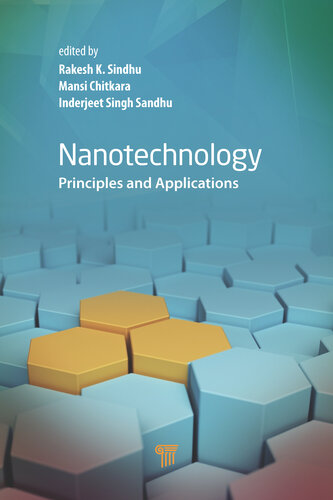 Nanotechnology: Principles and Applications