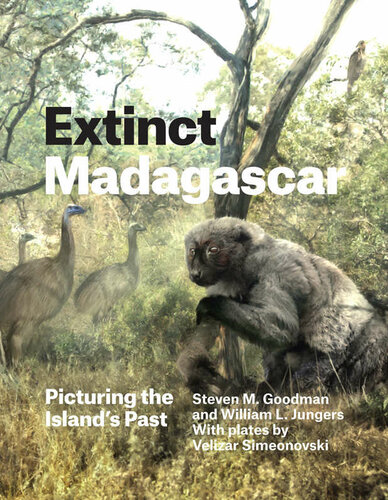 Windows into the Extraordinary: Madagascar Land Mammals and Their Ecosystems