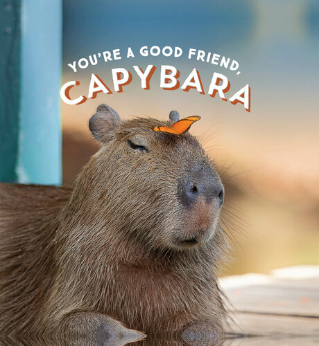 You're a good friend, capybara.