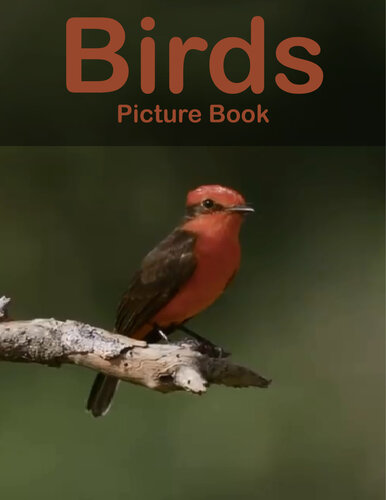 Birds Photography Photo Book | V24: A picture book Gift for Human