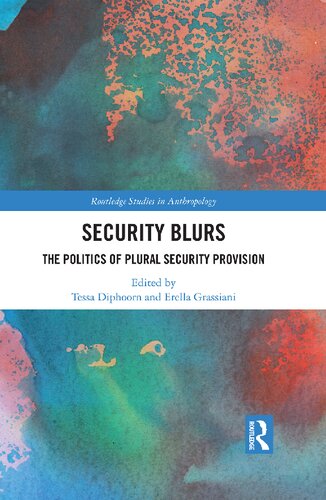 Security Blurs: The Politics of Plural Security Provision