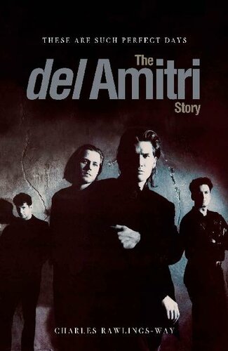 These Are Such Perfect Days: The Del Amitri Story