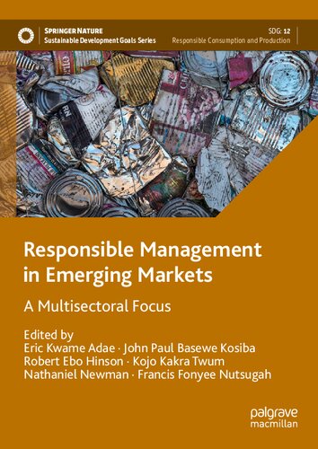 Responsible Management in Emerging Markets: A Multisectoral Focus