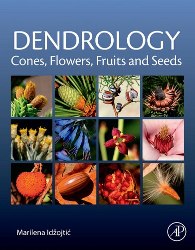 Dendrology : cones, flowers, fruits and seeds