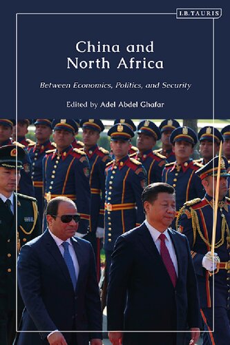 China and North Africa: Between Economics, Politics and Security