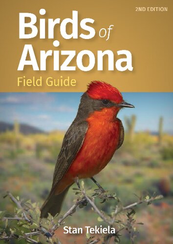 Birds of Arizona Field Guide (Bird Identification Guides)