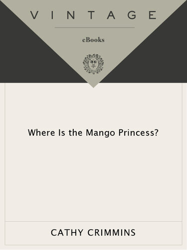 Where Is the Mango Princess?: A Journey Back From Brain Injury