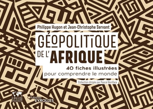 Géopolitique de l'Afrique: 40 fiches illustrées pour comprendre le monde