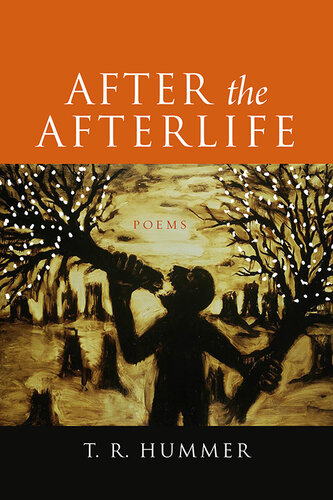 After the Afterlife: Poems