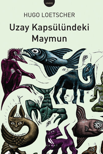 Uzay Kapsülündeki Maymun