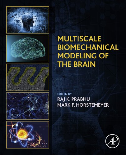 Multiscale Biomechanical Modeling of the Brain