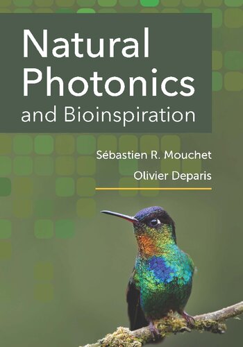 Natural Photonics and Bioinspiration