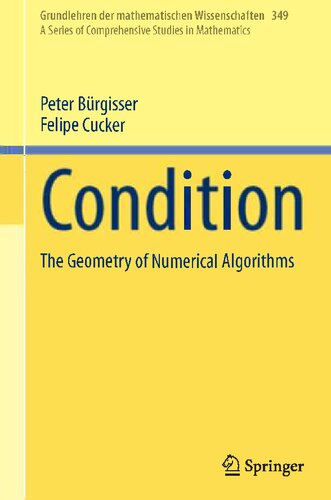 Condition : the Geometry of Numerical Algorithms