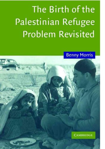 The Birth of the Palestinian Refugee Problem Revisited