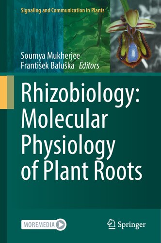 Rhizobiology: Molecular Physiology of Plant Roots