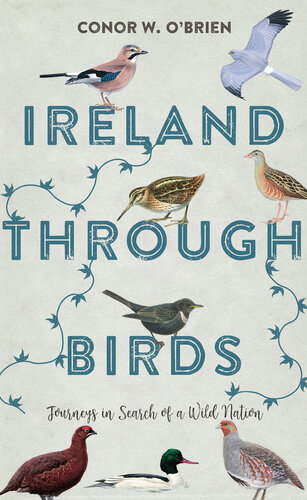 Ireland Through Birds: Journeys in Search of a Wild Nation