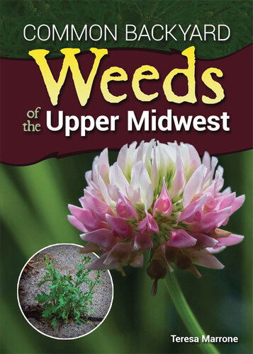 Common backyard weeds of the upper midwest