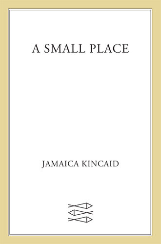 A Small Place